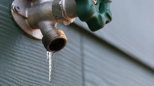 Best Leak Detection Services  in Zebulon, GA